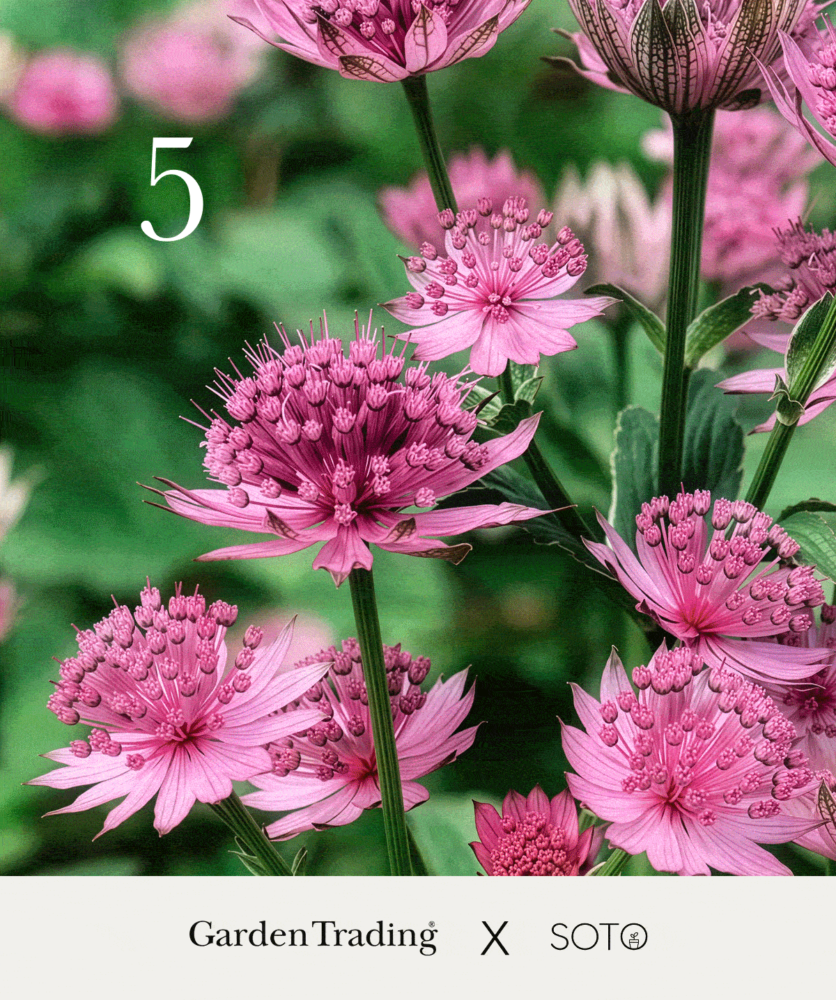 Five Jobs for Early Spring