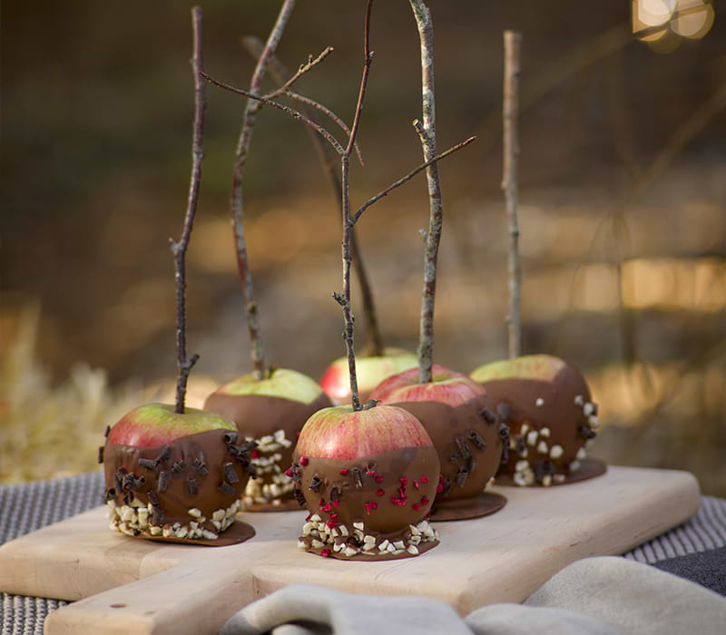 October chocolate apples with sticks