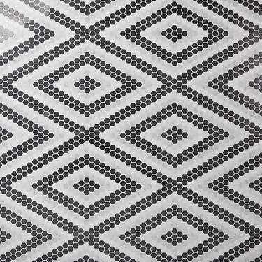 Juno Diamond Black and White 1" Hexagon Polished Marble Mosaic - Sample