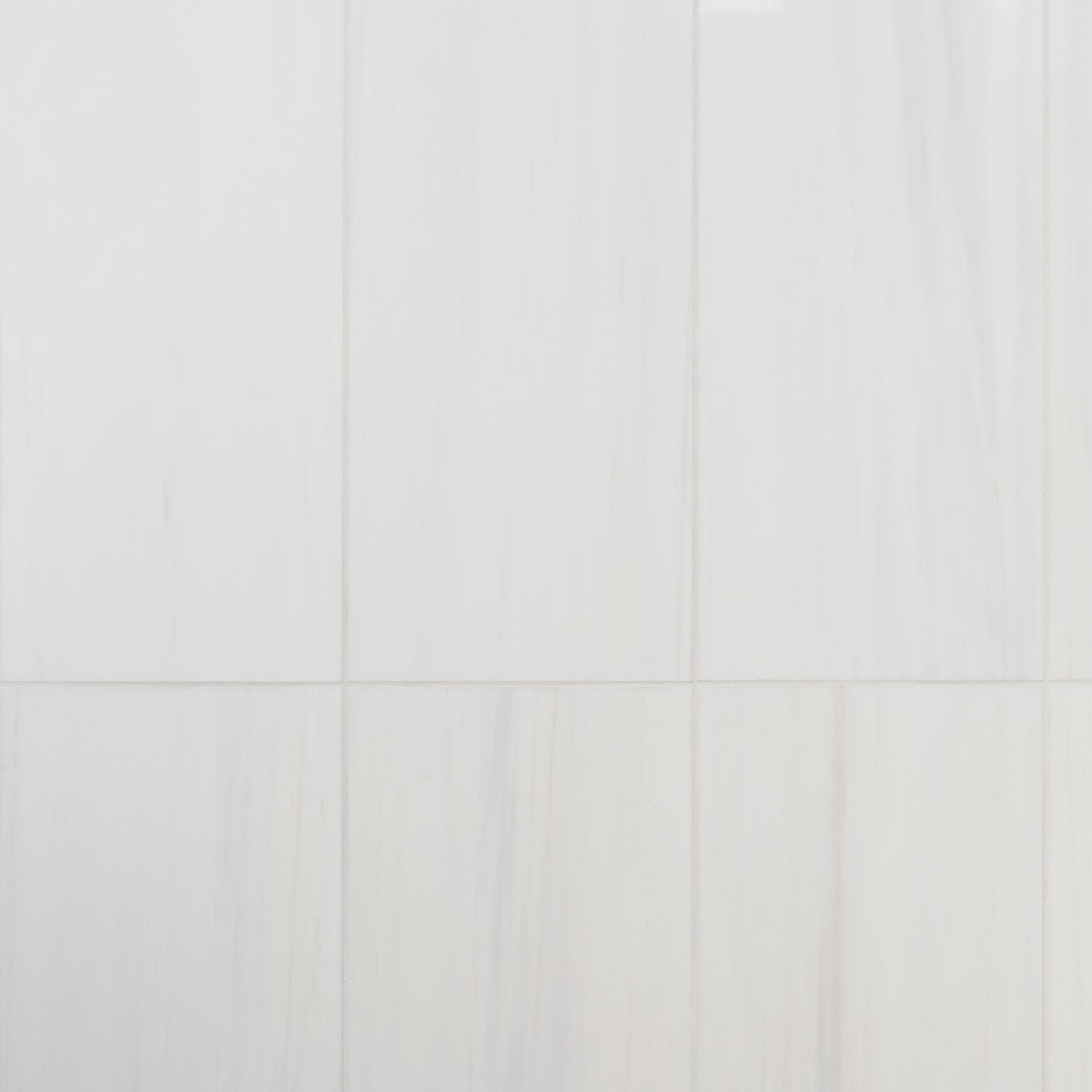 Bianco Dolomite White 12x24 Premium Polished Marble Tile