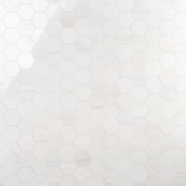 Bianco Dolomite Premium White 4" Hexagon Polished Marble Mosaic