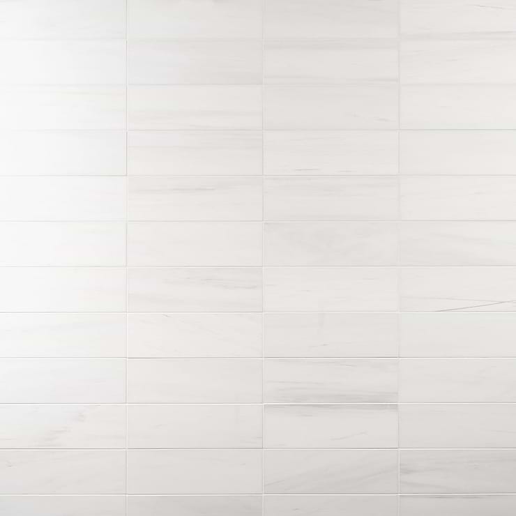 Bianco Dolomite White 4x12 Premium Honed Marble Tile