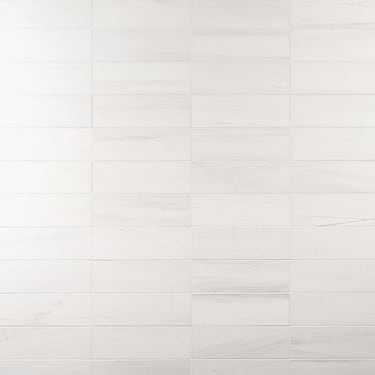 Bianco Dolomite Premium 4x12 Honed Marble Tile - Sample
