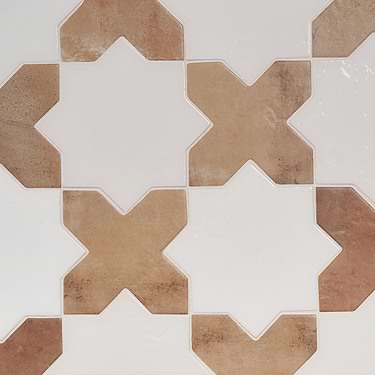 Parma White Polished Star and Cotto Brown Matte Cross 6" Terracotta Porcelain Tile-Sample
