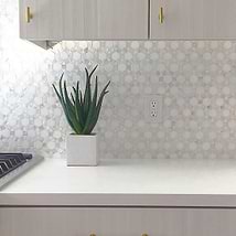 Victoria Pearl & White Thassos Marble Polished Mosaic Tile