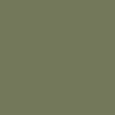 Laticrete Latasil Autumn Green- 10.3oz Tube