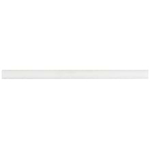 Bianco Dolomite White 3/4x12 Premium Honed Marble Pencil