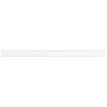 Bianco Dolomite White 3/4x12 Premium Polished Marble Pencil