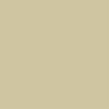 Laticrete Latasil Butter Cream- 10.3oz Tube