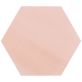 Sample-HexArt Rose 8" Hexagon Porcelain Matte Tile