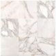 Calacatta Gold 12x12 Polished Marble Tile