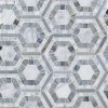 Cosmos Carrara & Moonstone 4" Hexagon Marble Polished Mosaic Tile