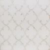 Sample-Highland Marrakesh White Thassos Marble With Pearl Shell Polished Mosaic Tile