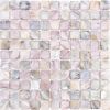 Sample- mother Of Pearl Silver Polished Mosaic Tile