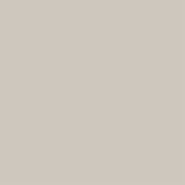 Laticrete Latasil Fossil- 10.3oz Tube
