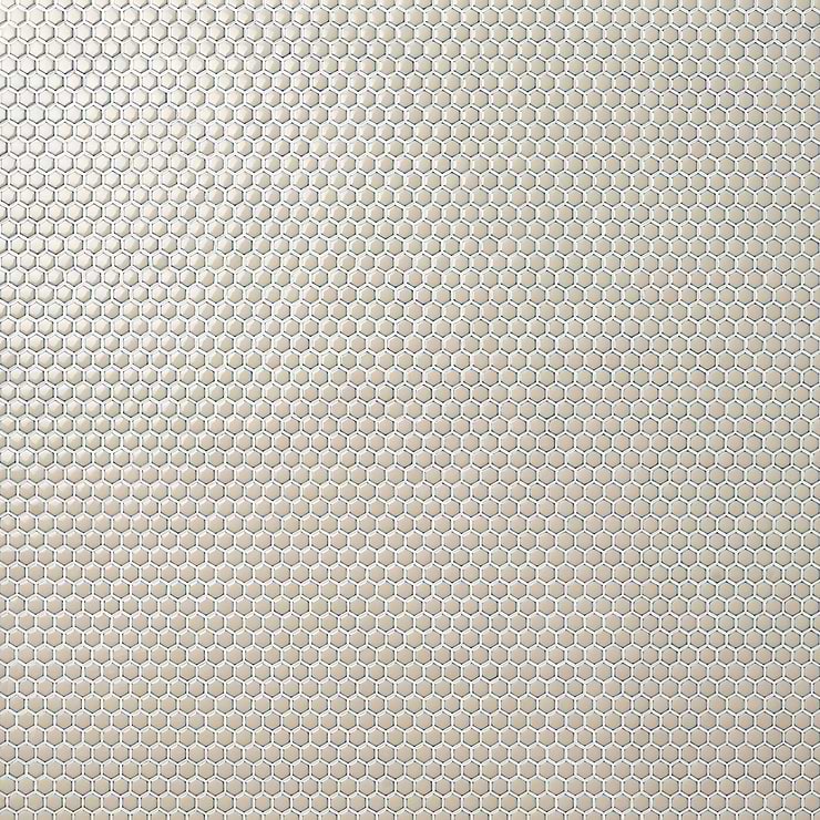 Eden 2.0 Latte Beige Rimmed 1" Hexagon Polished Porcelain Mosaic