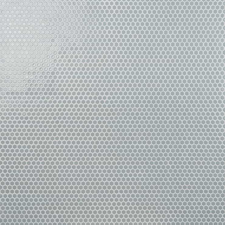 Eden 2.0 Modern Gray Rimmed 1" Hexagon Polished Porcelain Mosaic