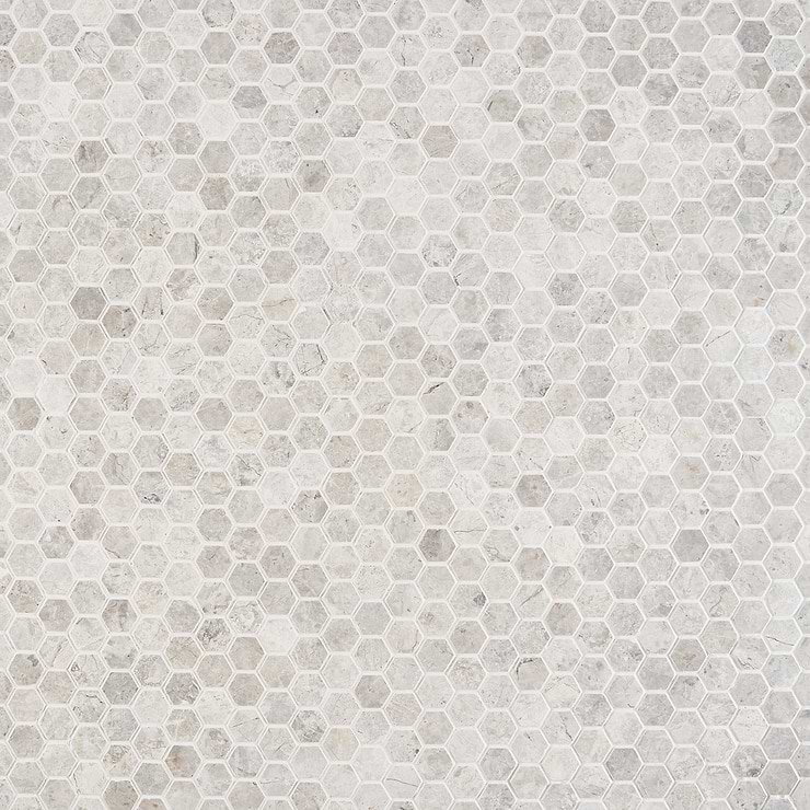 Tundra Gray 1 Honed Hexagon Limestone Mosaic