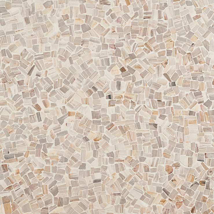 Fossil Tumbled Petrified Stone Mosaic