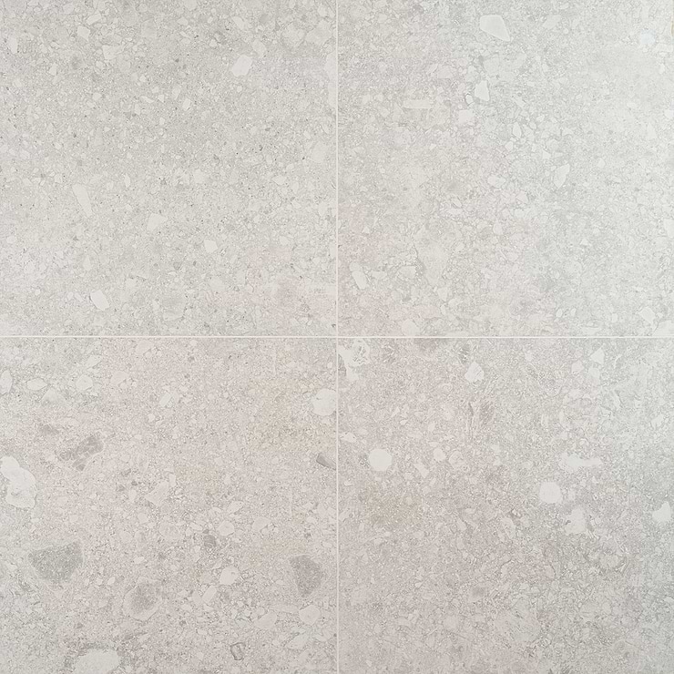 Rizo Silver Beige 24x24 Terrazzo Look Matte Porcelain Tile