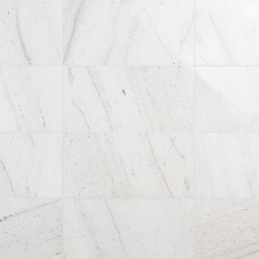 Alaska White 12x24 Polished Marble Tile - Sample
