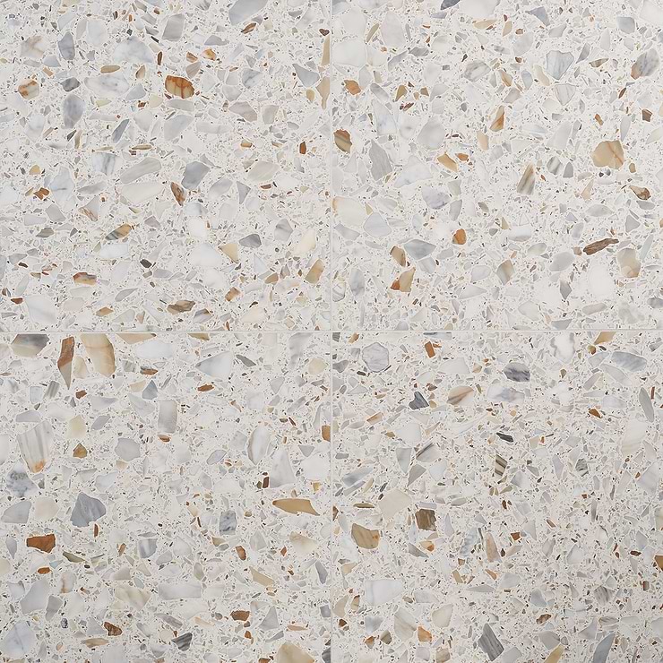 Terrazzo Italy Sacra Calacatta White 24x24 Honed Terrazzo Tile