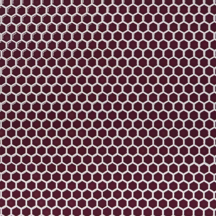 Eden 2.0 Summer Plum Purple Rimmed 1" Hexagon Polished Porcelain Mosaic