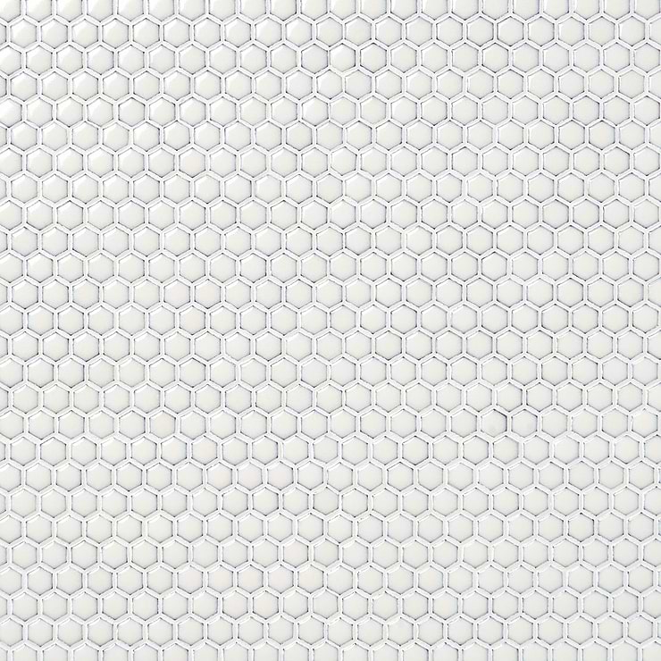 Eden 2.0 Winter White Rimmed 1" Hexagon Polished Porcelain Mosaic