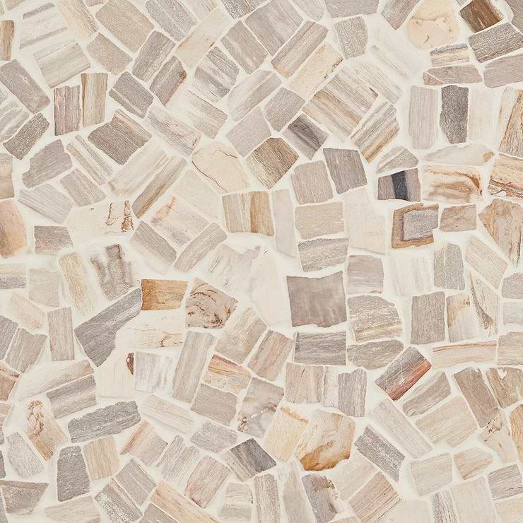 Fossil Tumbled Petrified Stone Mosaic