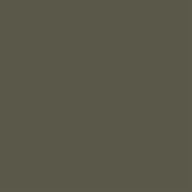 Laticrete Latasil Mocha- 10.3oz Tube