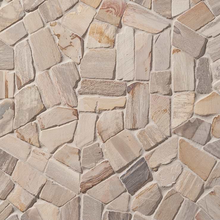 Fossil Hexagon Petrified Stone Mosaic