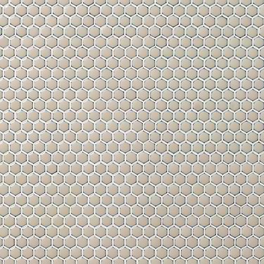 Eden Latte Beige 1" Rimmed Hexagon Polished Porcelain Mosaic