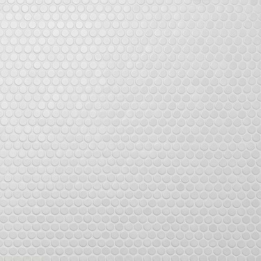 EDEN 2.0 White Penny Round Matte Ceramic Mosaic - Sample