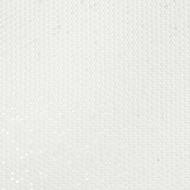 Zoe Bianco 1/2" Circle Frosted and Polished Glass Mosaic Tile  - Sample
