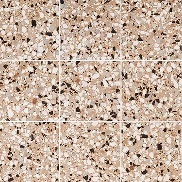 Chips Macro Terracotta 8x8 Matte Porcelain Tile - Sample