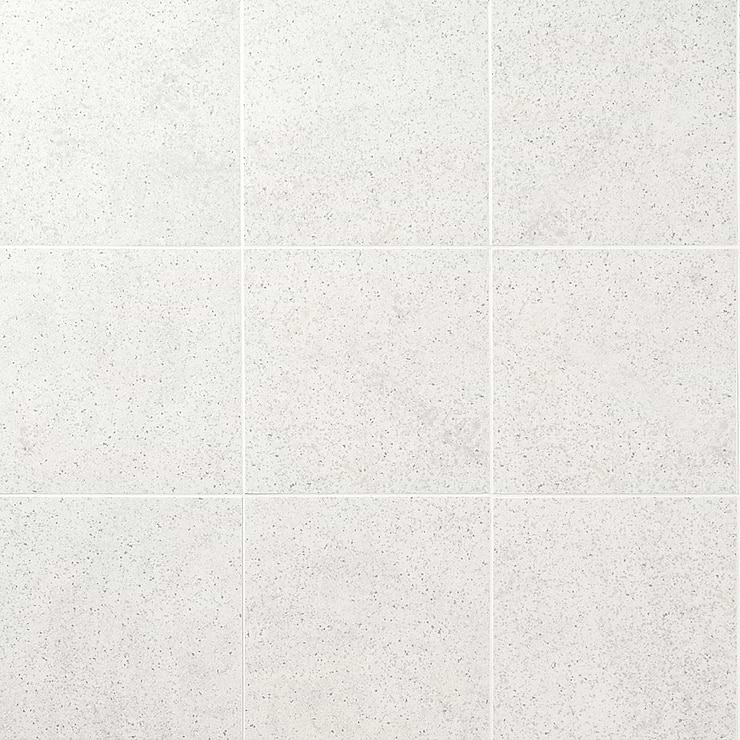 Art Geo by Elizabeth Sutton Terrazzo White Grigio 8x8 Matte Porcelain Tile
