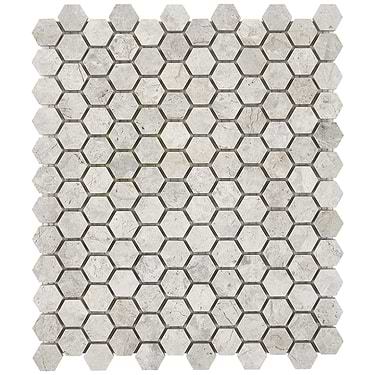 Tundra Gray 1" Hexagon Honed Limestone Mosaic