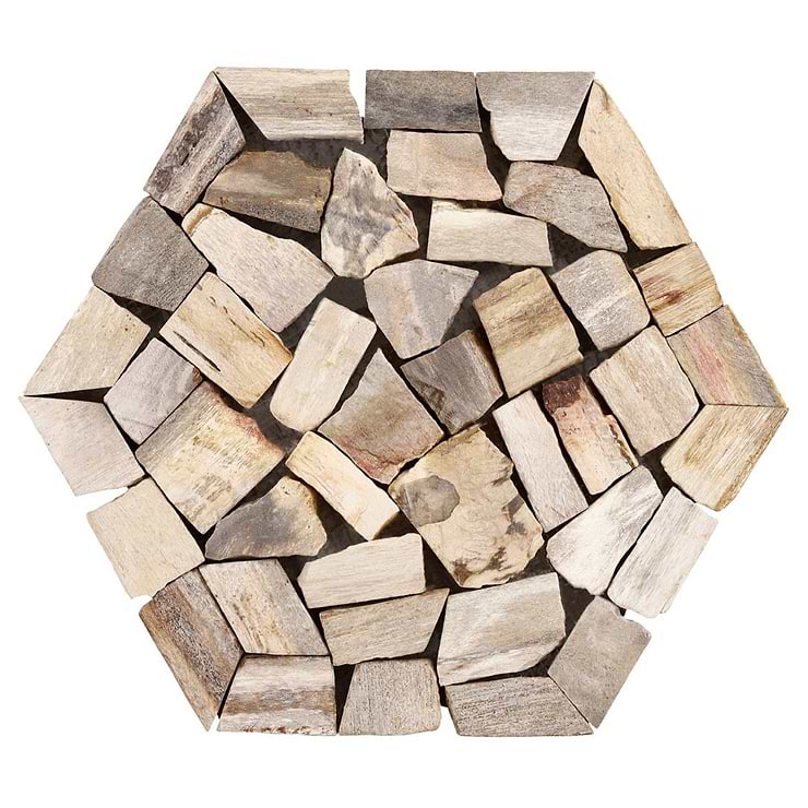 Fossil Hexagon Petrified Stone Mosaic