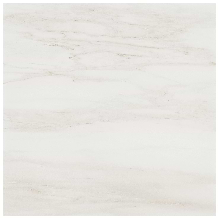 DreamStone Dolomite Snow 24x24 Matte Porcelain Tile
