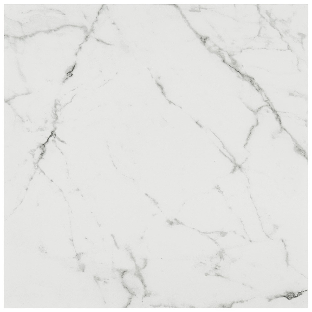 DreamStone Statuario Venato 24x24 Matte Porcelain Tile