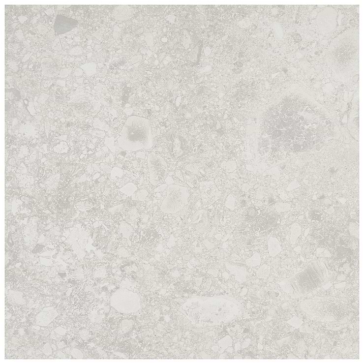 Rizo Silver Beige 24x24 Terrazzo Look Matte Porcelain Tile