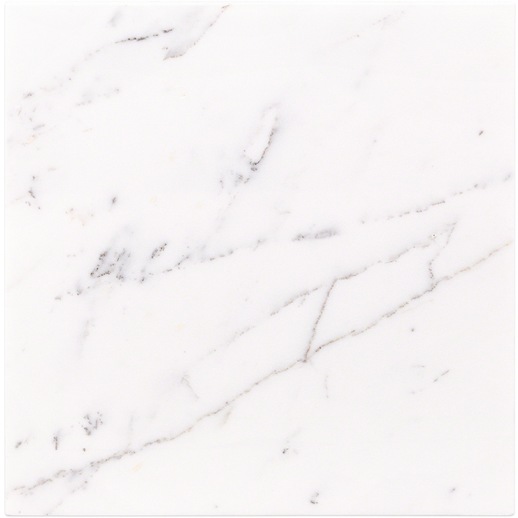 Calacatta Oro 12x12 Polished Marble Tile