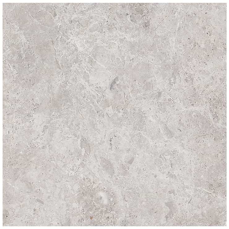 Tundra Gray 12x12 Honed Limestone Tile