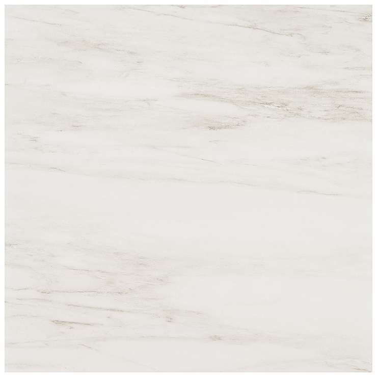 DreamStone Dolomite Snow 24x24 Matte Porcelain Tile