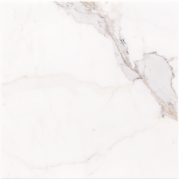 Calacatta Oro 12x12 Polished Marble Tile