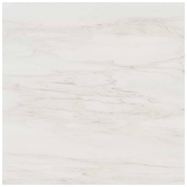 DreamStone Dolomite Snow 24x24 Matte Porcelain Tile