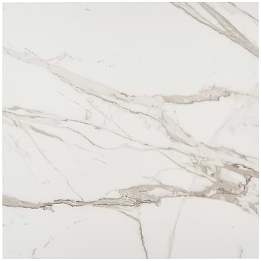 Versilia Statuario White 24X24 Matte Porcelain Tile