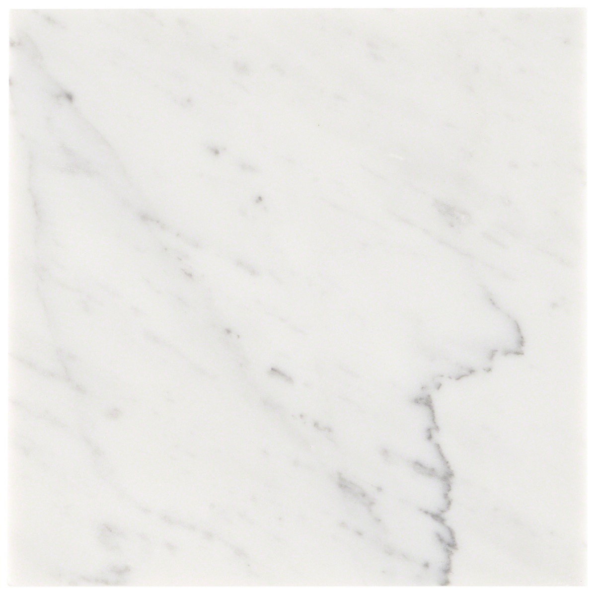 Barcode by Michael Habachy Liso Carrara White 8x8 Textured Honed Marble Tile