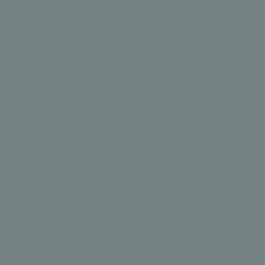 Laticrete Latasil Slate Grey- 10.3oz Tube