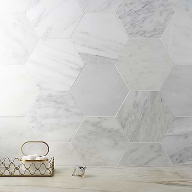Asian Statuary White 10" Hexagon Honed Marble Tile